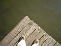 annie on dock